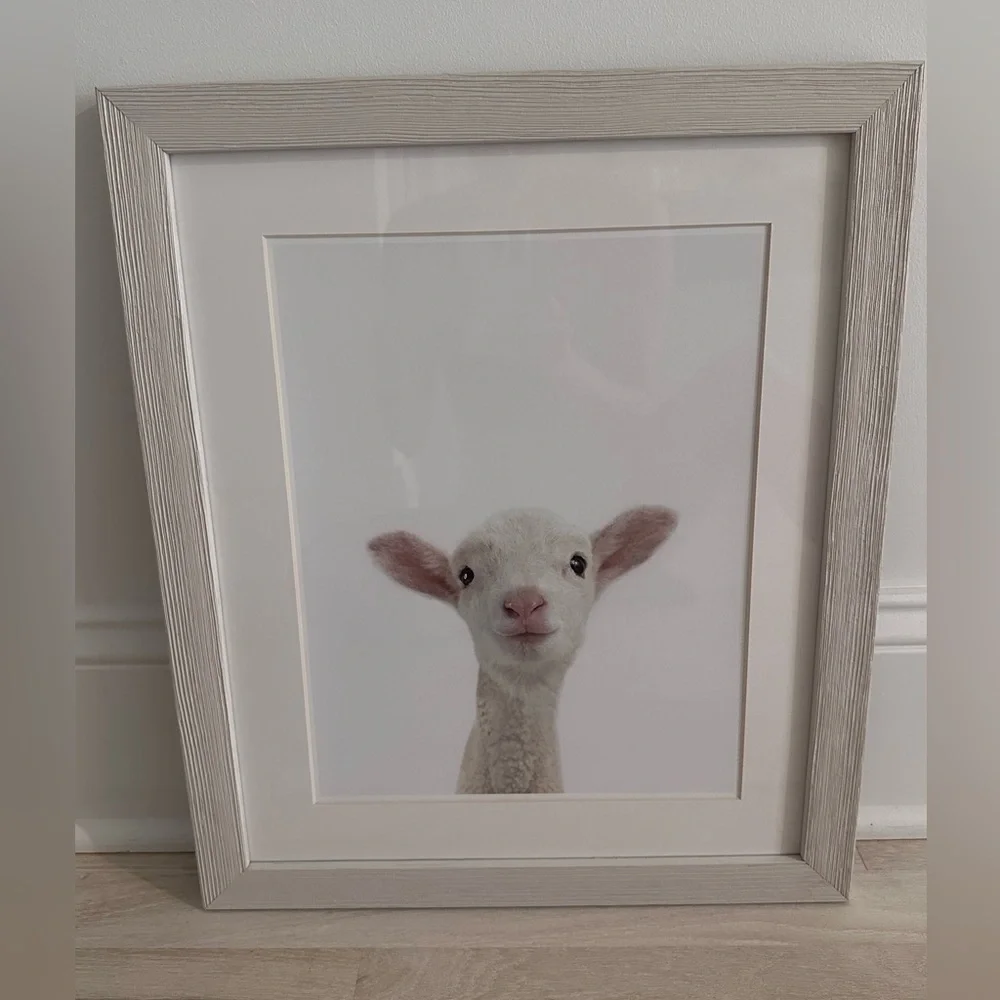 Restoration Hardware Baby Lamb CloseUp Portrait